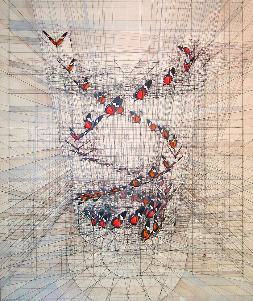 Rafael Araujo, ilustraciones matemáticamente perfectas 12