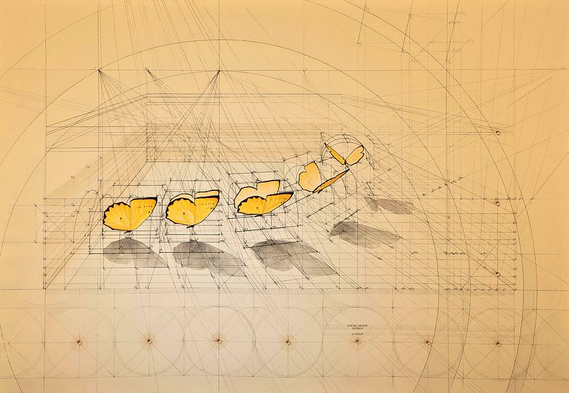 Rafael Araujo, ilustraciones matemáticamente perfectas 13