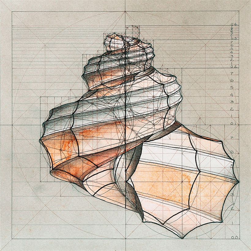 Rafael Araujo, ilustraciones matemáticamente perfectas 17