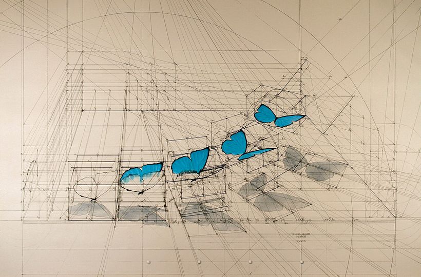 Rafael Araujo, ilustraciones matemáticamente perfectas 15