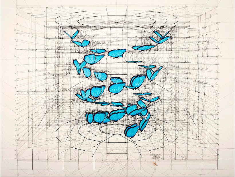 Rafael Araujo, ilustraciones matemáticamente perfectas 16