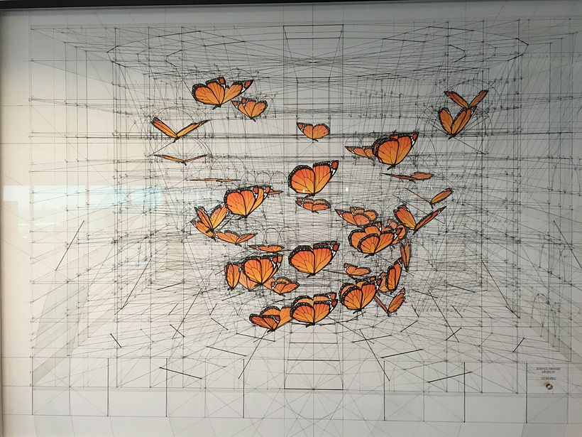 Rafael Araujo, ilustraciones matemáticamente perfectas 18