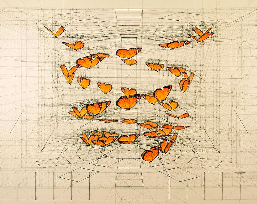Rafael Araujo, ilustraciones matemáticamente perfectas 21