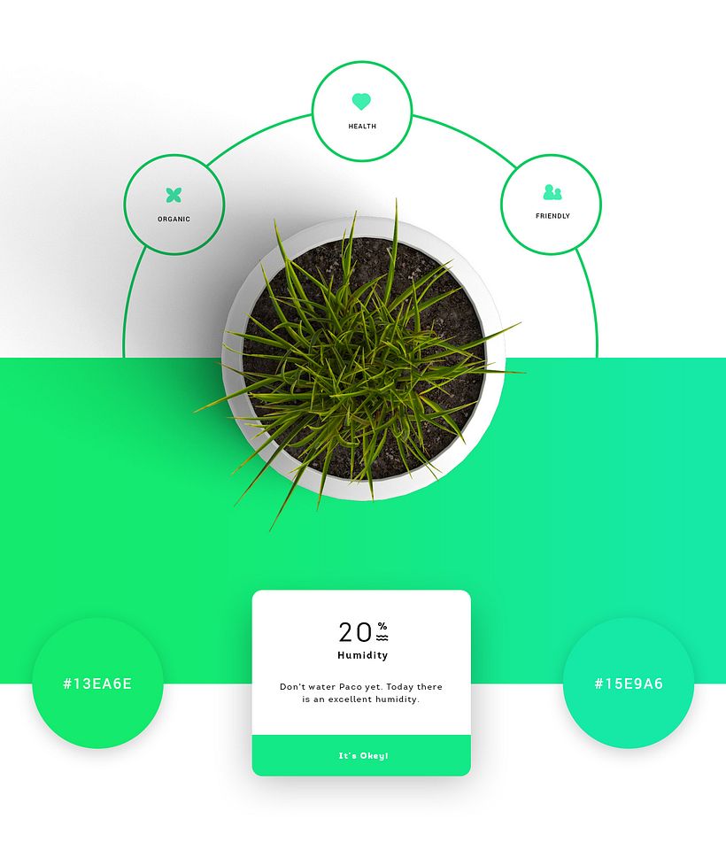Plantapp, U Plant App - UX / UI