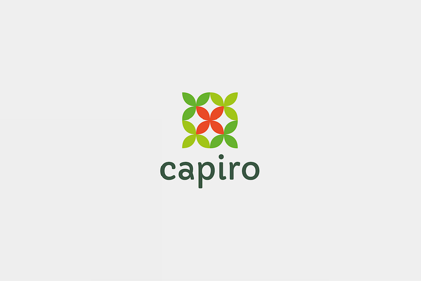 CAPIRO -1