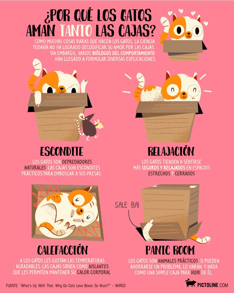 Pictoline: la revolución de la información ilustrada 19