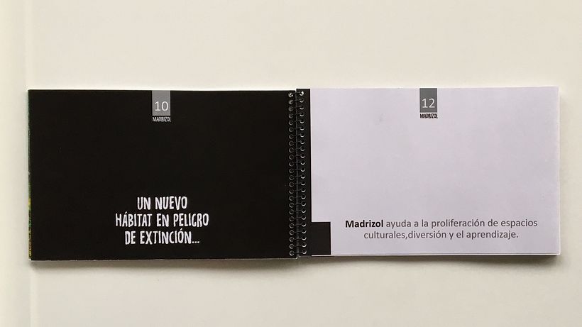 MADRIZOL. Una solución creativa en forma de medicamento editorial 8