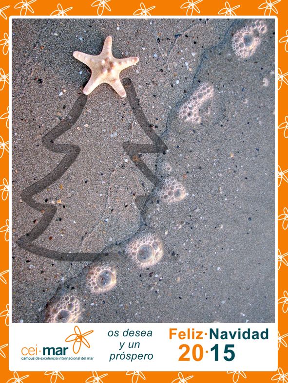 Navidad 1