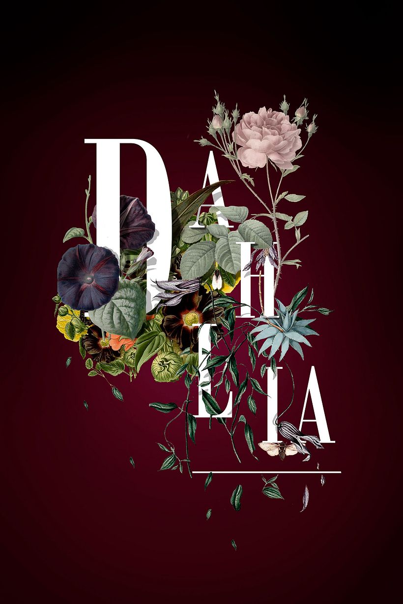 Le Monsta: ilustración y lettering made in Colombia 18