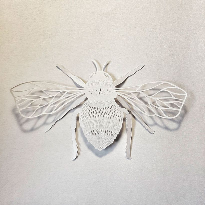 Pippa Dyrlaga: ilustrando a golpe de cúter 18