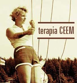 web profesional con WordPress -1