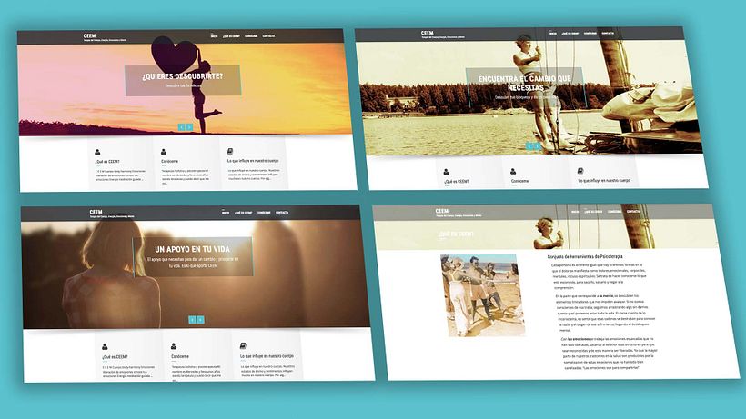 web profesional con WordPress 0