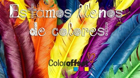 Creación de contenido redes sociales 0