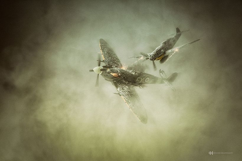 Felix Hernandez y el arte de fotografiar escenas diminutas 21