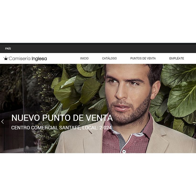 Diseño WEB 18