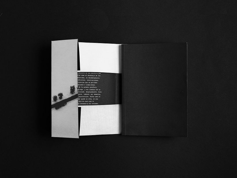 Pérdida de lo absoluto 8