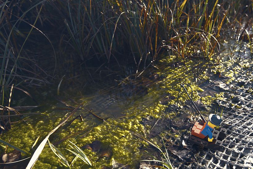 Lego pescador en Santa Perpetua de la Moguda -1