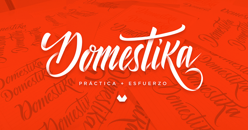 500 K / Domestika Concurso 2