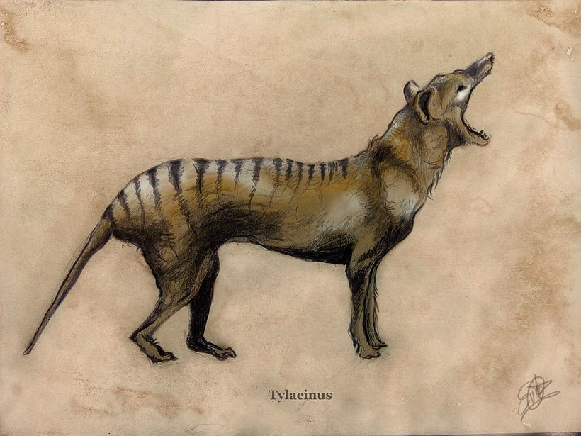 Ilustración científica 1