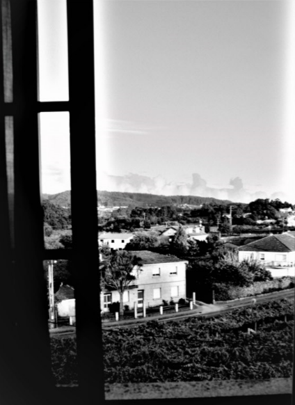 Fotografía de muestra #01 1