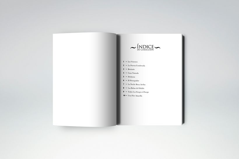 Diseño de colección de libros 9