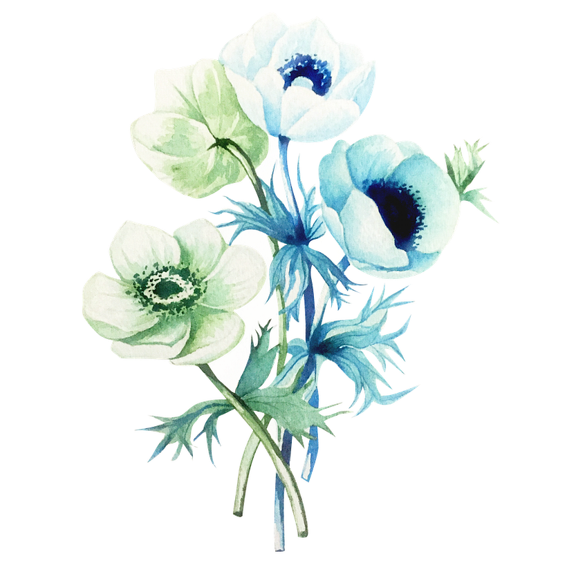 Flores botánica  1