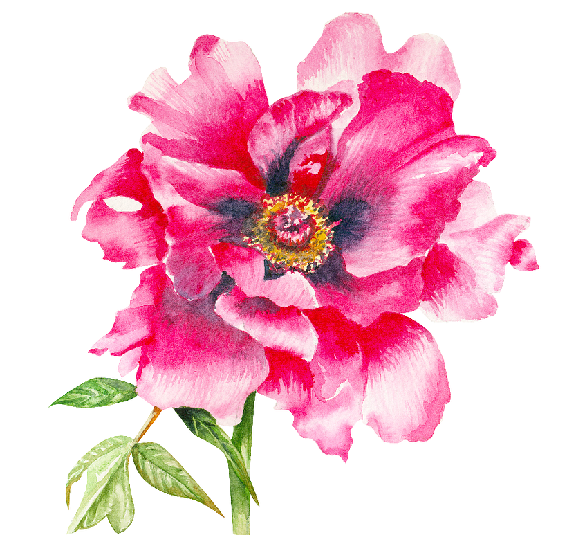 Flores botánica  4