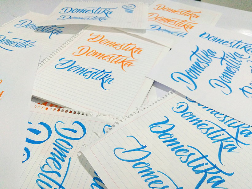 500 K / Domestika Concurso 1