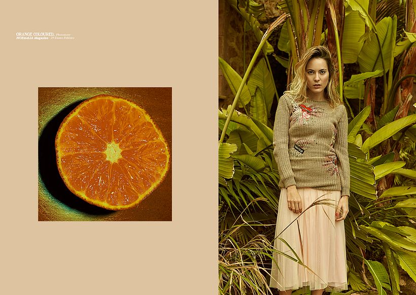 Orange Coloured 5