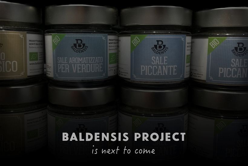 Baldensis -1