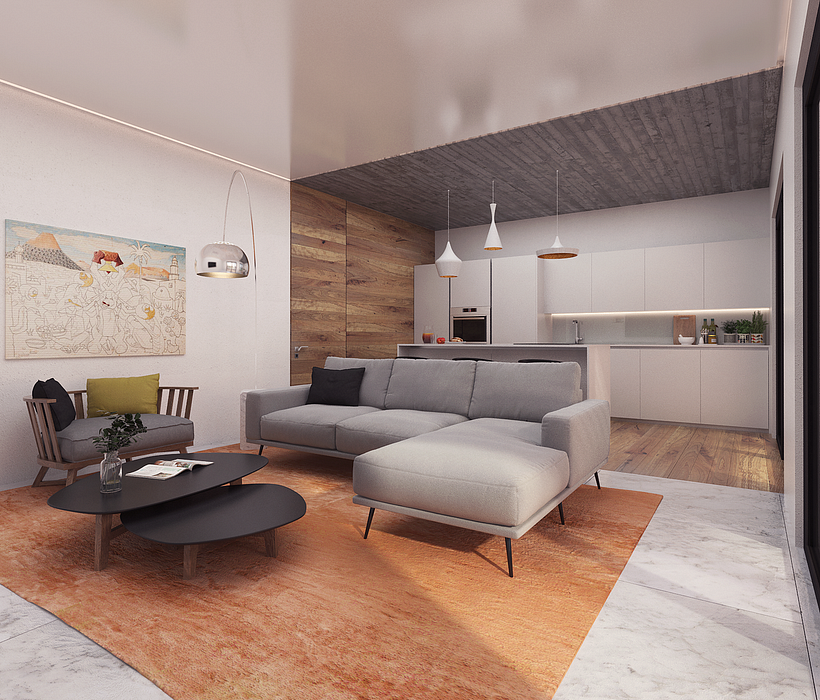 Infografías Fachada-Terraza-Salón-Cocina 0