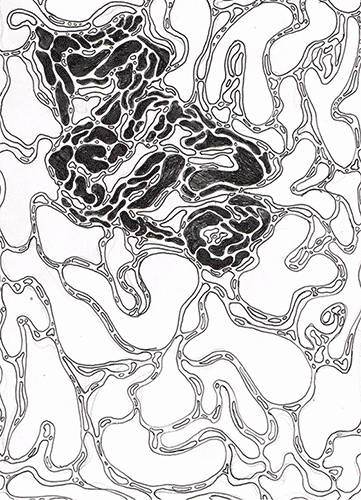 Ilustración Lamela 1