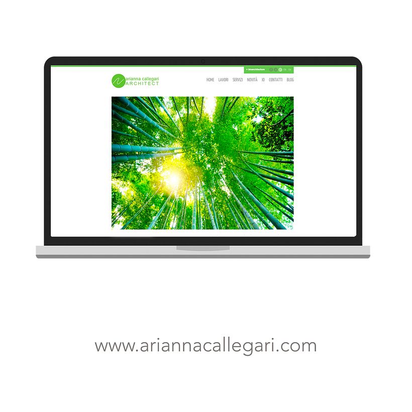 Diseño Web 2