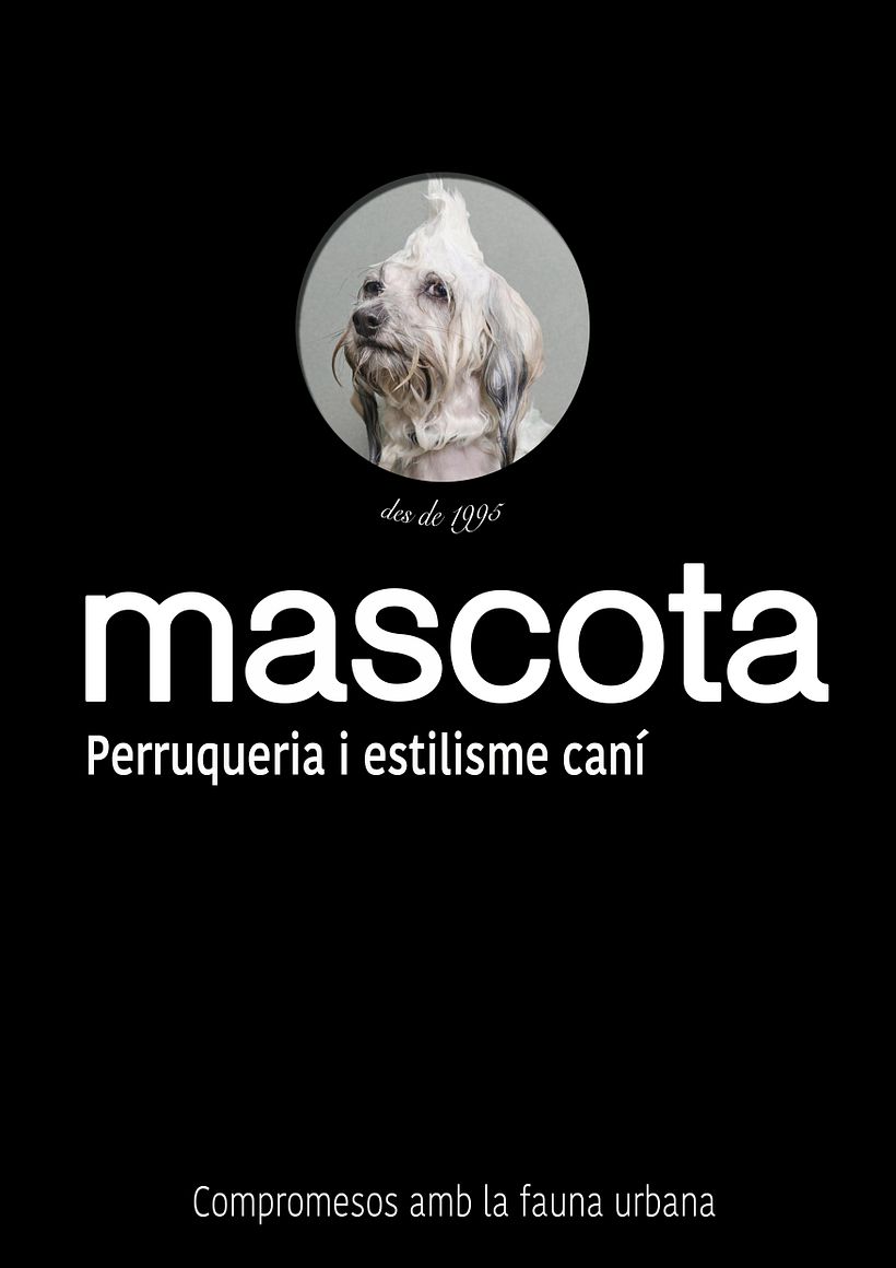 Mascota perruqueria canina 0