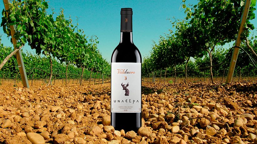 Botellas Valduero -1