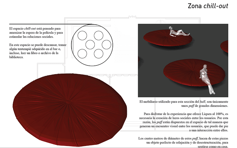 Liquen 11