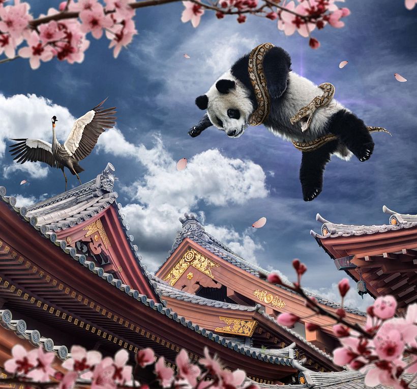 Panda 0