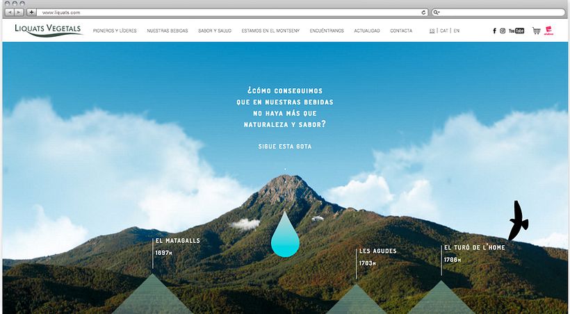 Web corporativa para Liquats Vegetals.  0