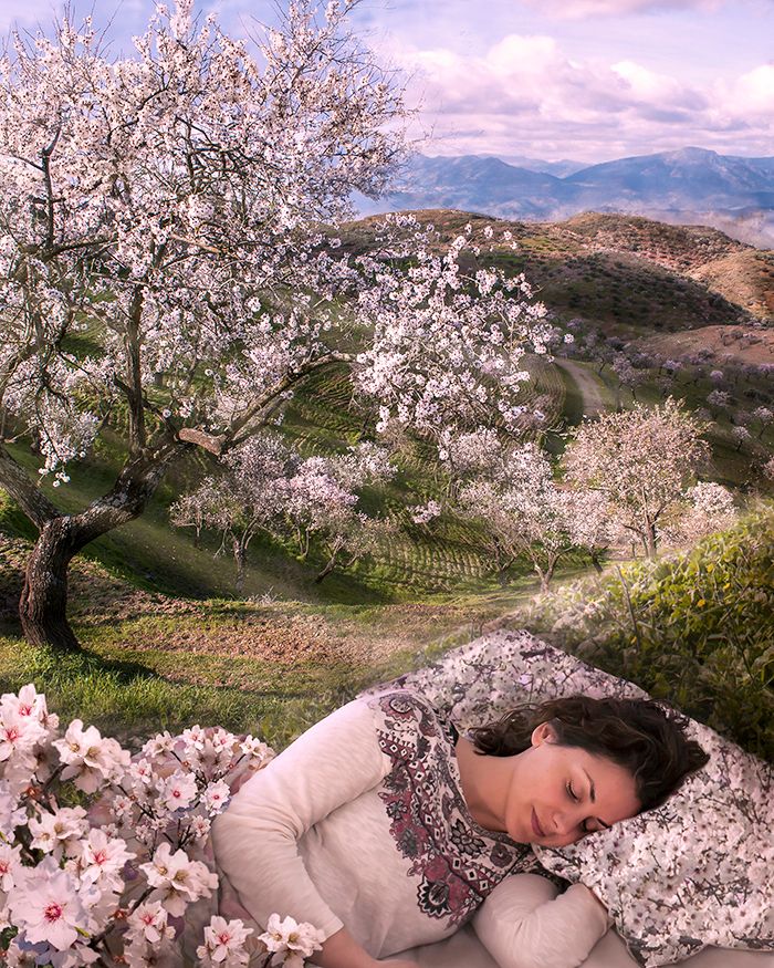 Mi Proyecto del curso: Secretos del fotomontaje y el retoque creativo -1