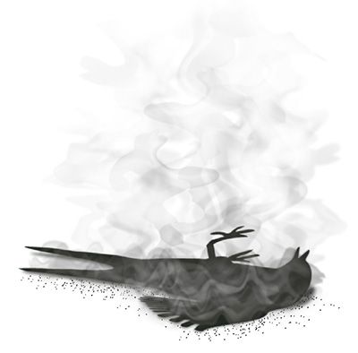 Golondrina 6