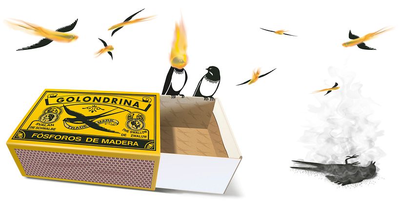Golondrina 1
