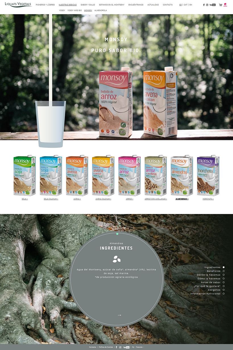 Web corporativa para Liquats Vegetals.  4