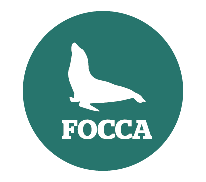 FOCCA 2