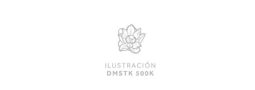 DMSTK 500K por Leon de la Cruz 0