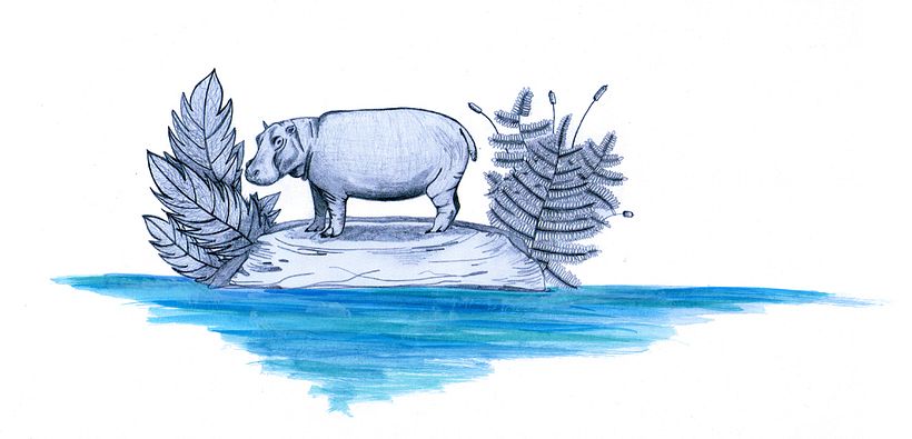 ILLUSTRACIONES FAUNÍSTICAS 7