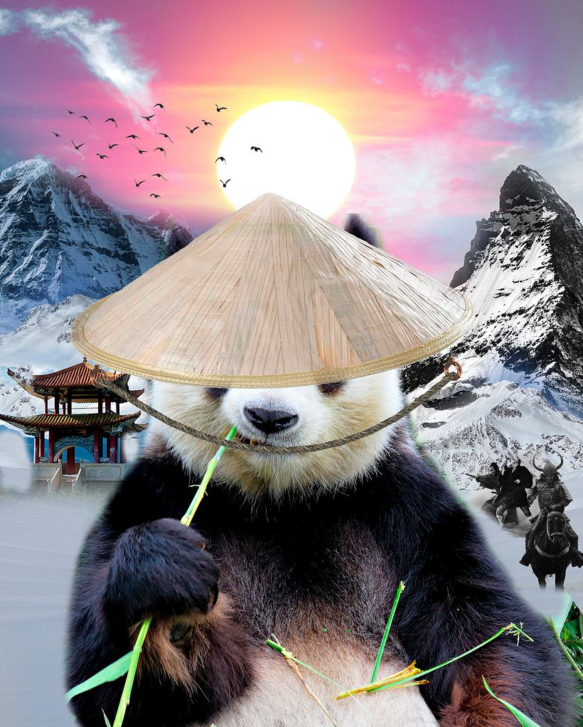 Mi Proyecto del curso: Retoque de Película / Panda Warrior 1