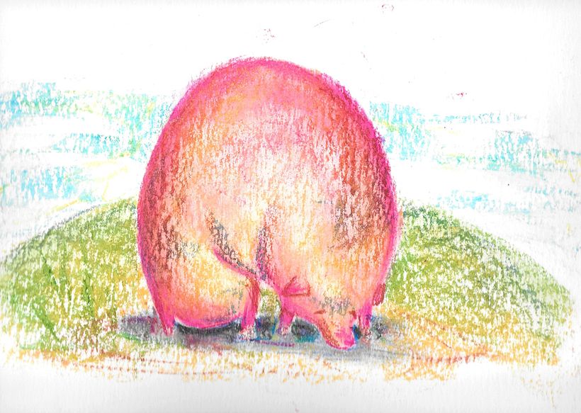 Animales gordetes -1