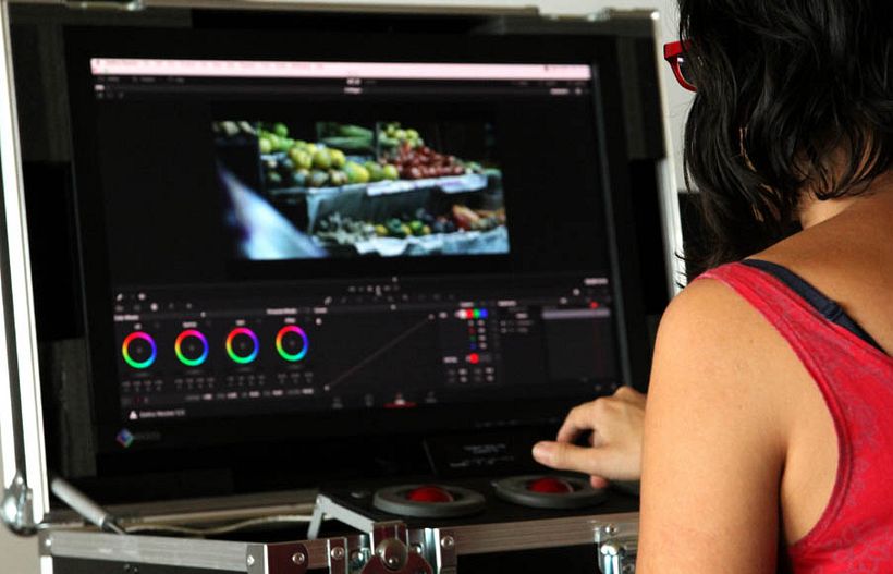 La profesión del DIT 1