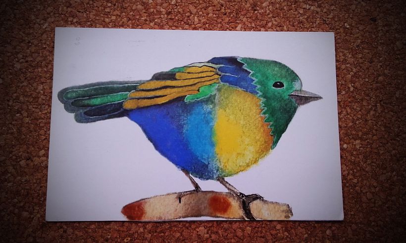 ilustracion, acuarela - Illustrazione tradizionale