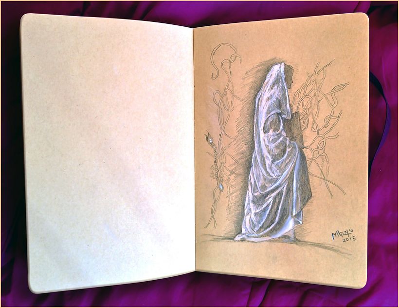ilustraciones 17